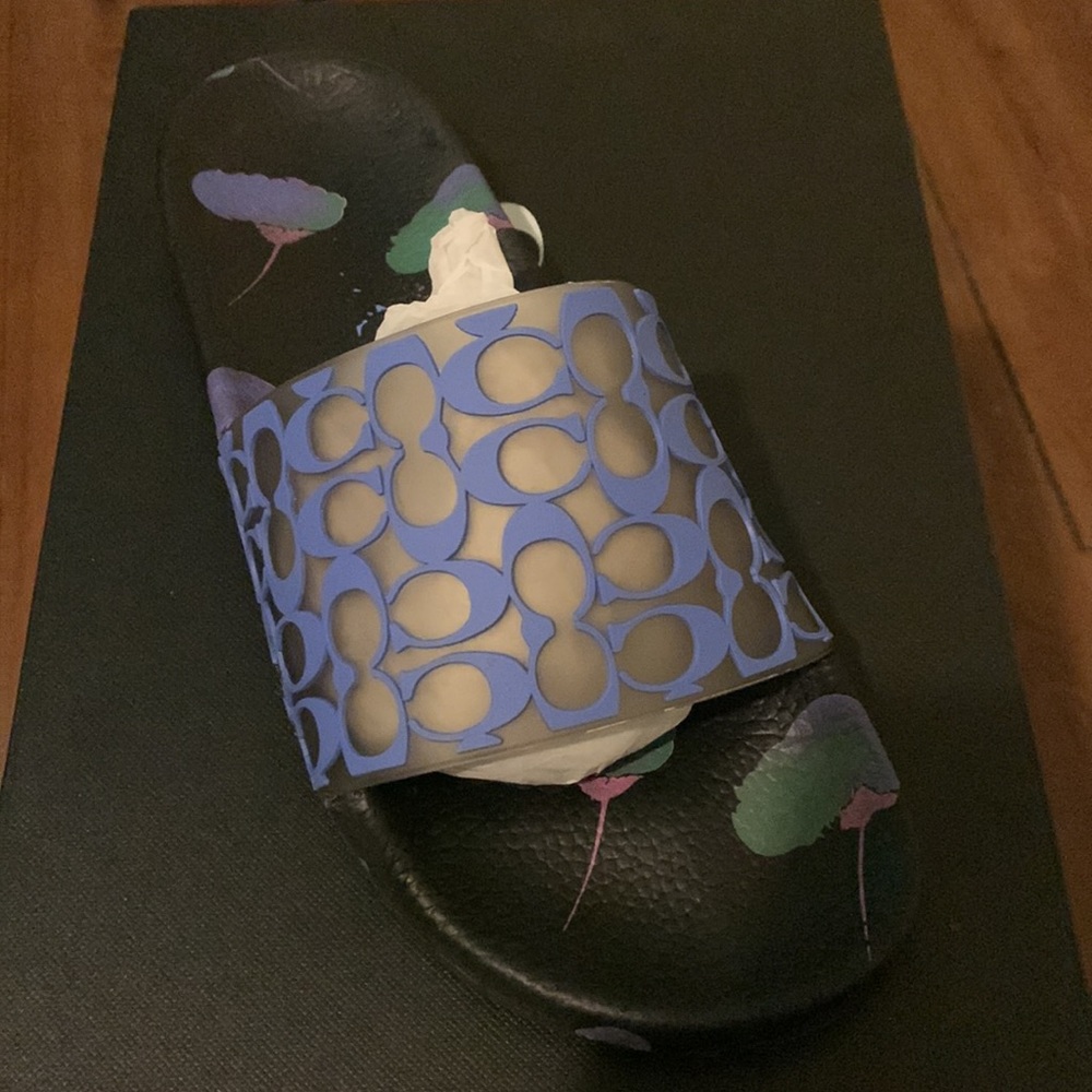 Coach Slides - Picture 3 of 5